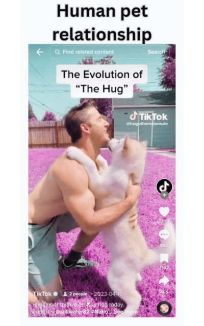 Human Pet Relationship Image